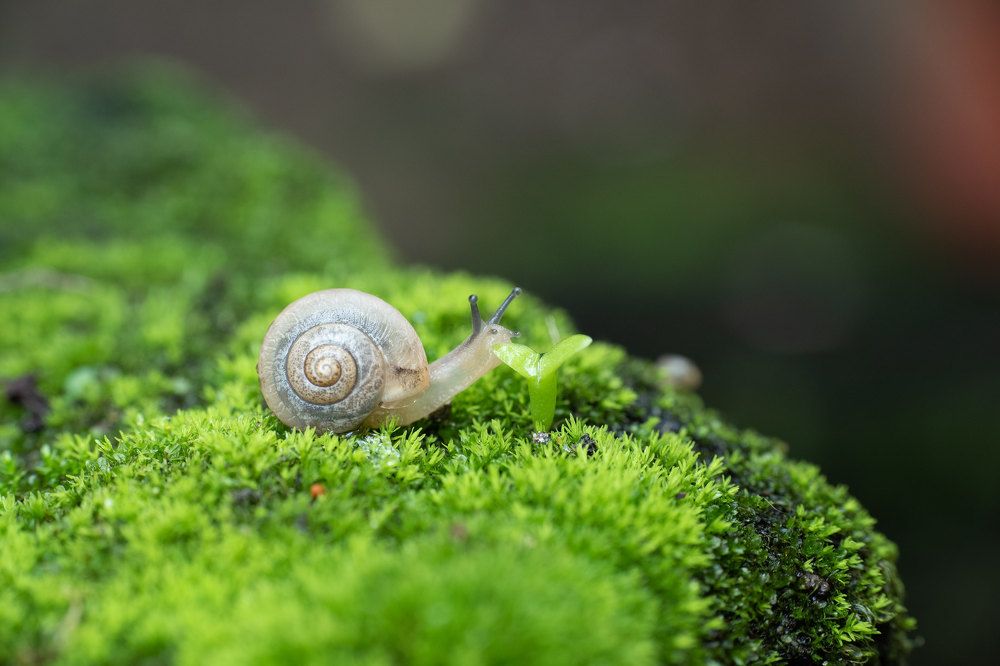 Photograph by Ninh Quốc Trịnh