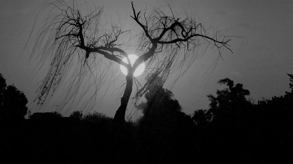 Photograph by Hashem Mohamed