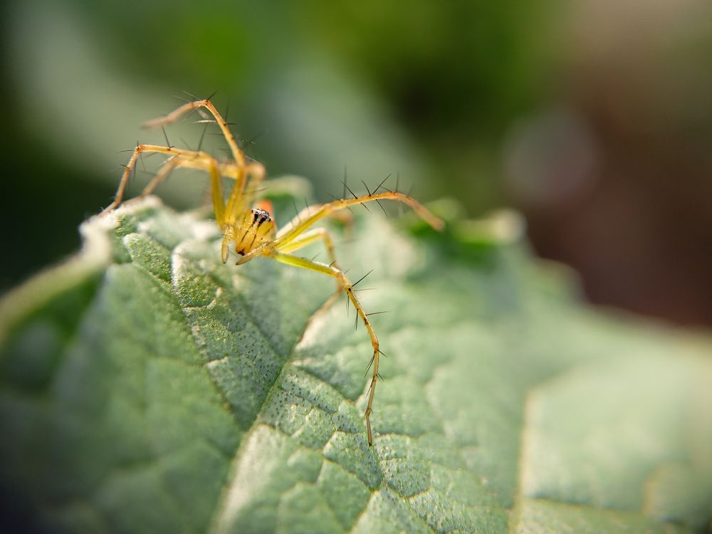 Photograph by Rohan B S