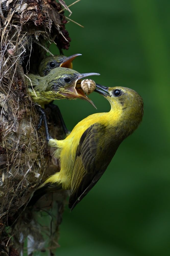 Photograph by Tan Tze Siong
