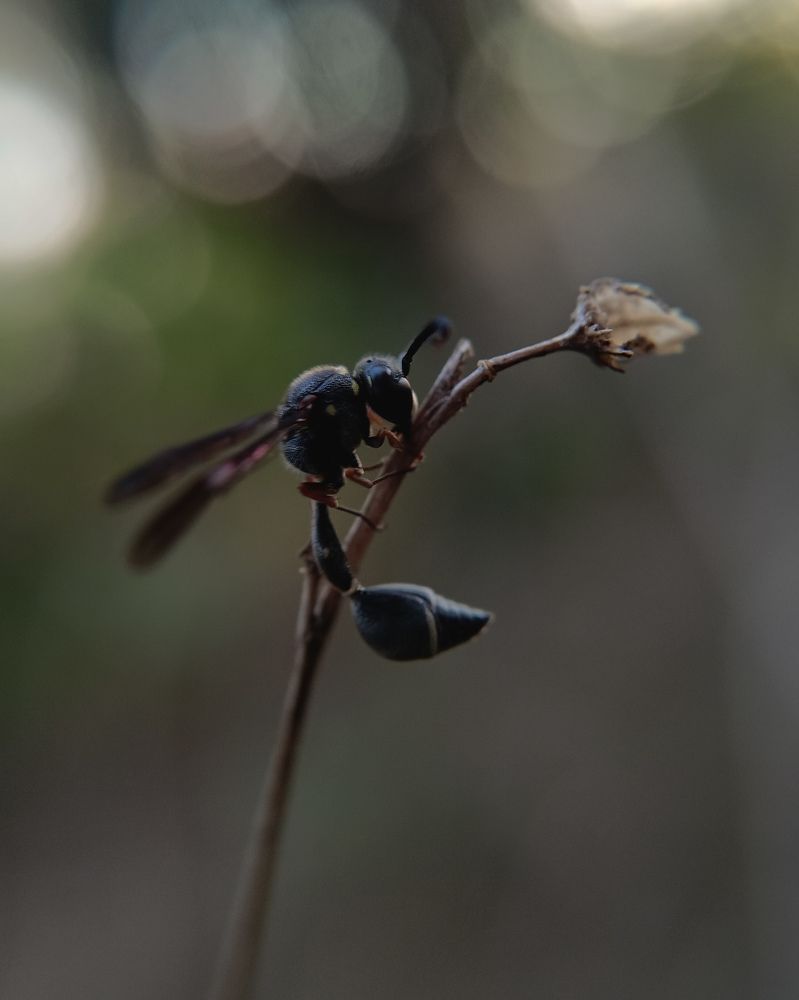 Photograph by Rohan B S