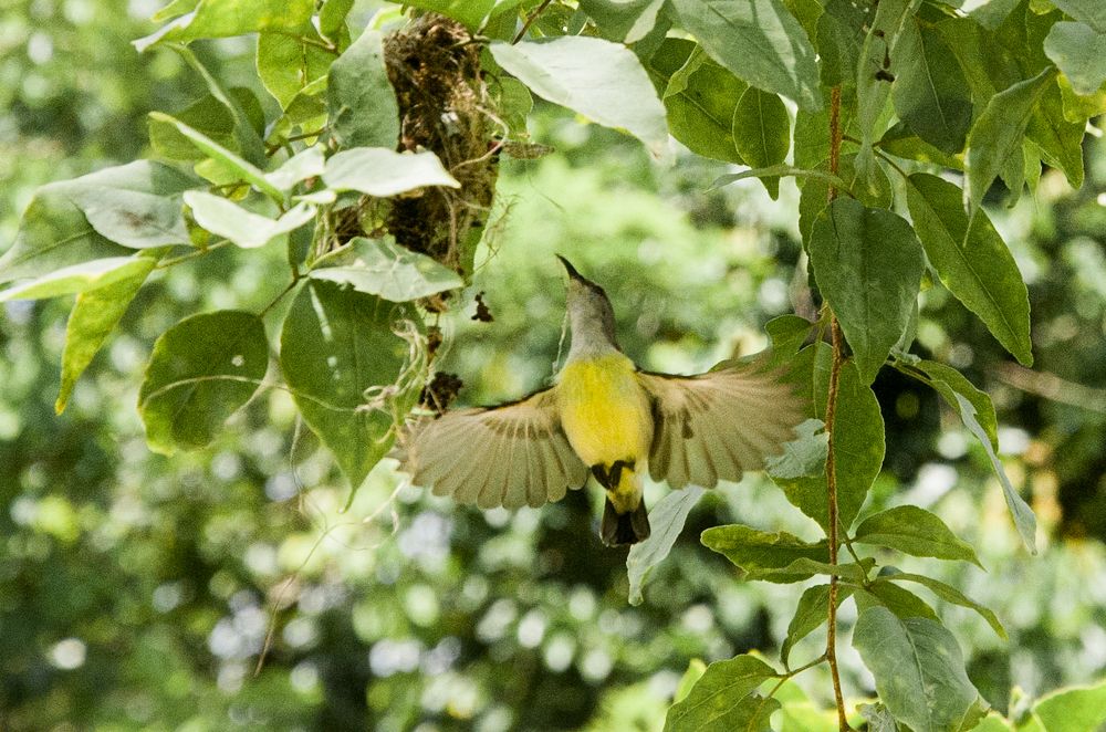 Photograph by Wishwa Jeewa