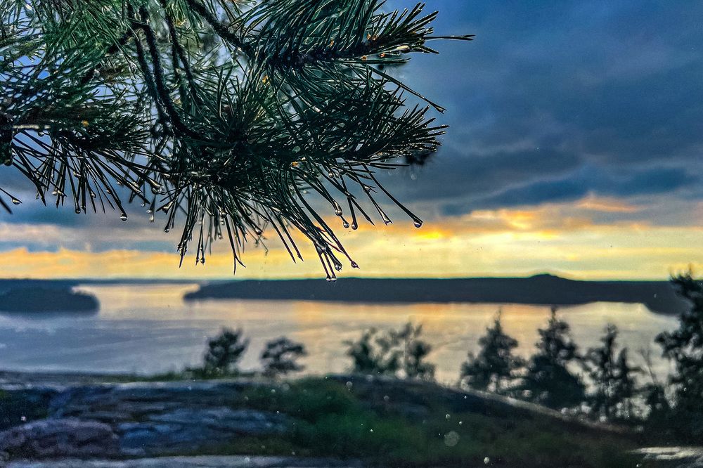 Photograph by Bojana Jevtic