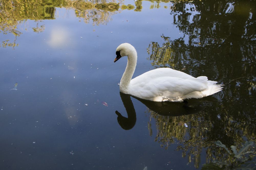 Photograph by Mohsen Khani