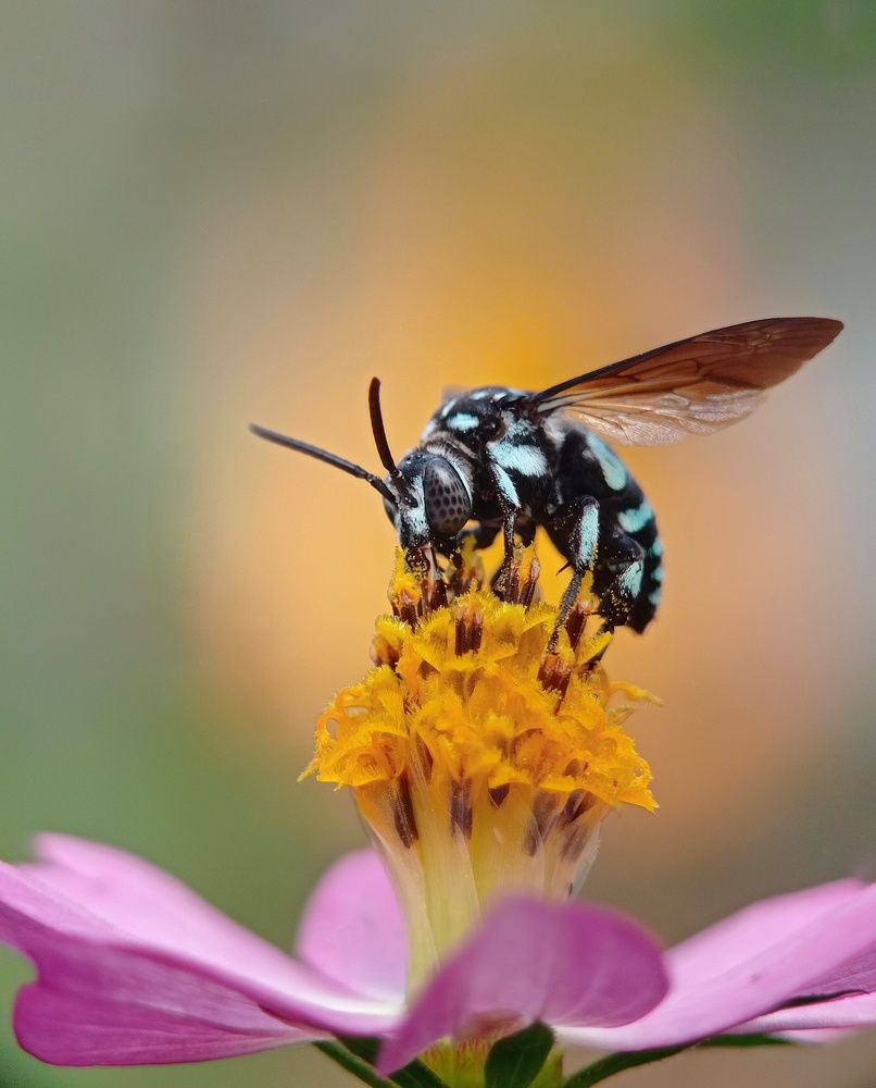 Photograph by Tomas Hadi