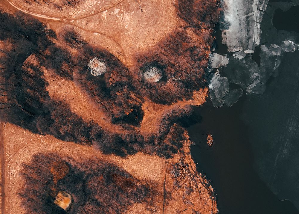 лесной страж