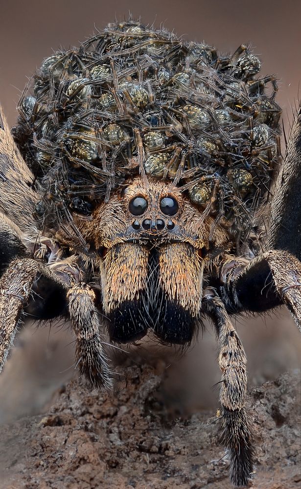 Photograph by Tinh Dang thanh