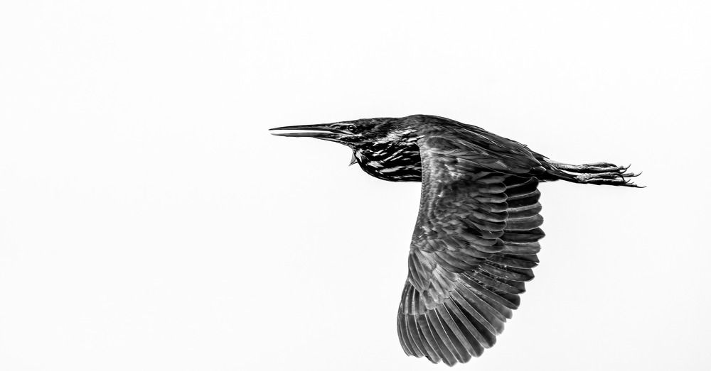 Photograph by Omar Arshad