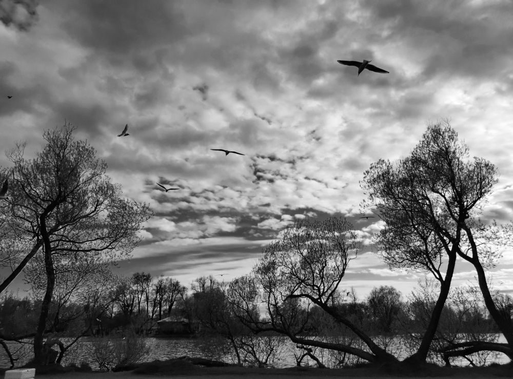 Photo #7696542