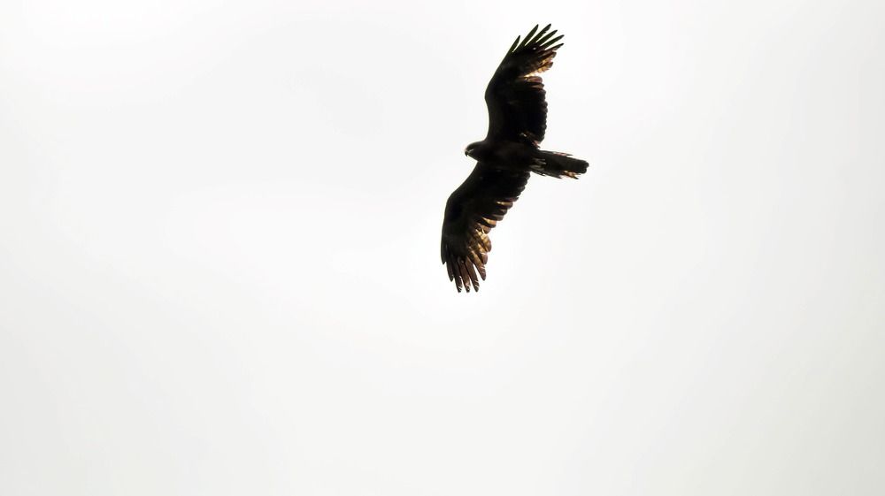 Photograph by Igor Kochkin