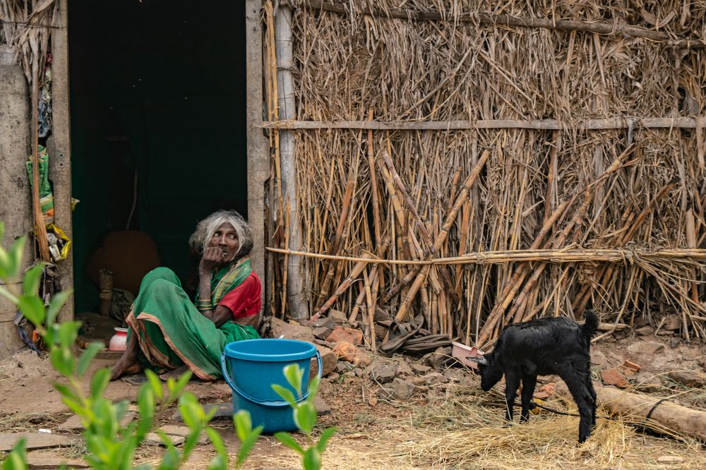 Photograph by Sanket Gudashi