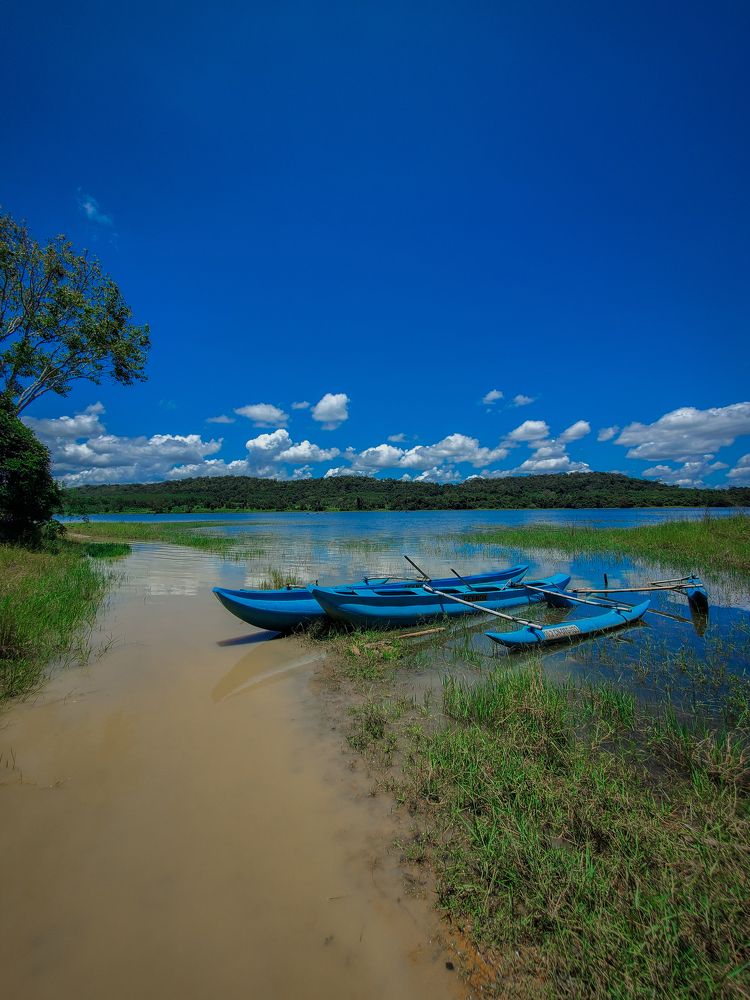 Photograph by Dineth Thathsara