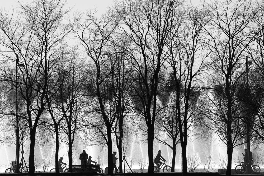 Photograph by Юлия Яровая