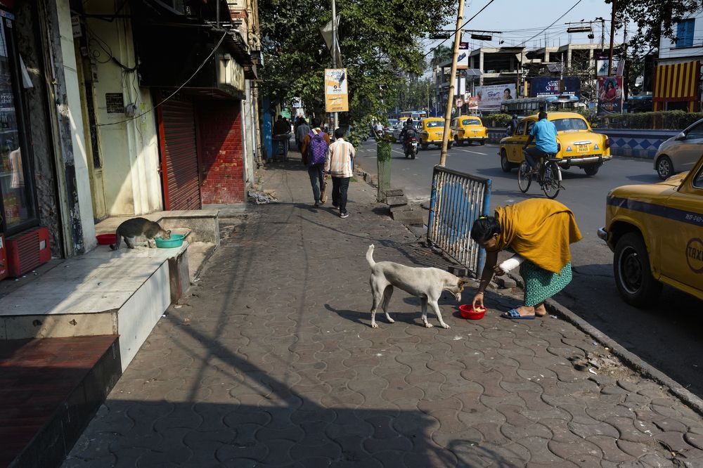 Photograph by Subrata Bose