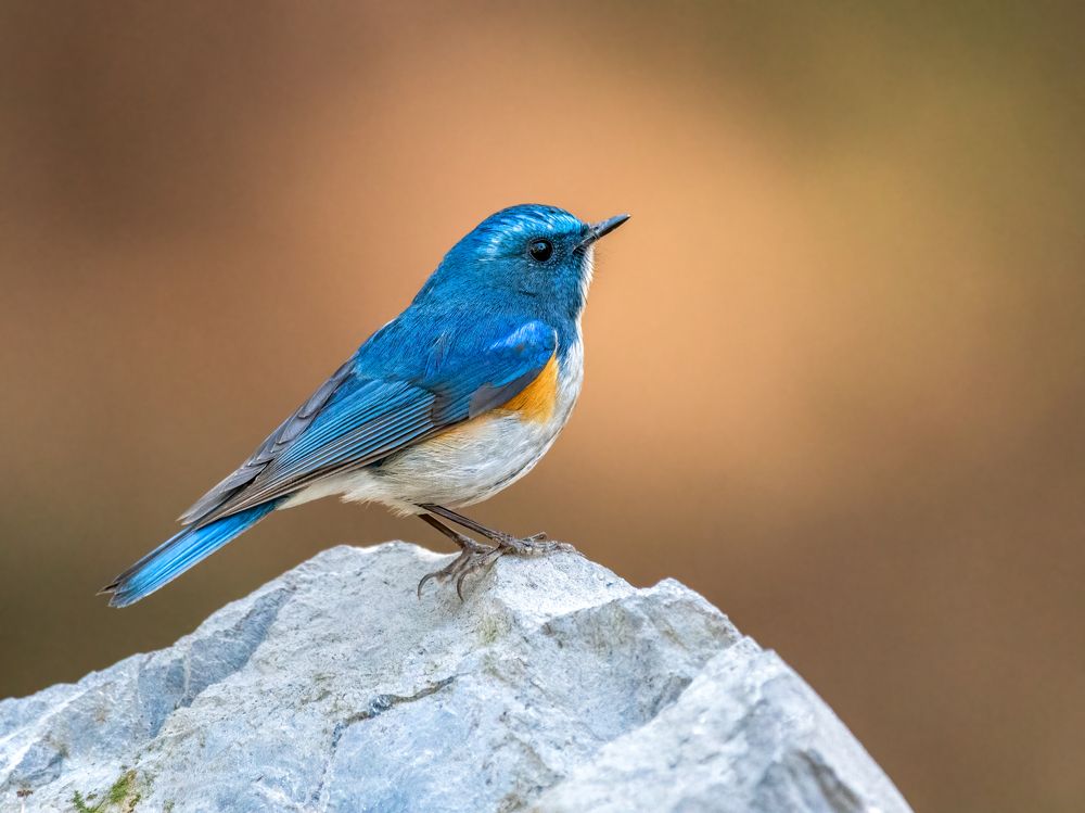 Photograph by Omar Arshad