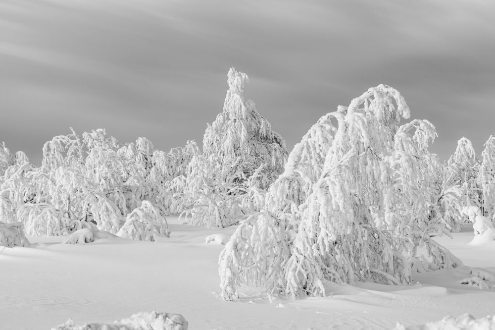 Фотография автора Наталья