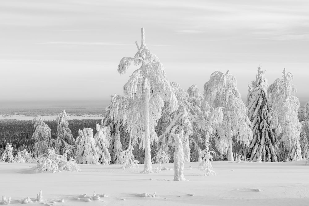 Фотография автора Наталья