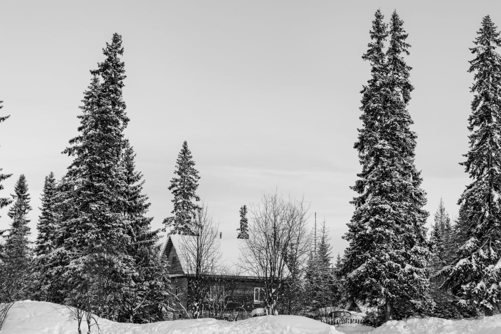 Фотография автора Наталья