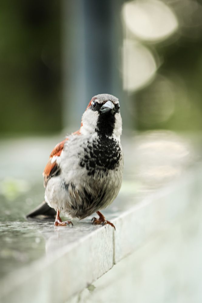 Photograph by Александр Носов