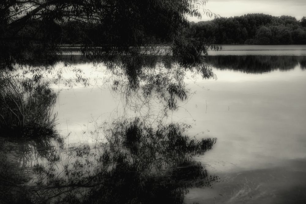 Photograph by Александр Падажецкий