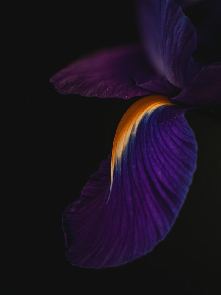 Photograph by Oxana ELTSOVA