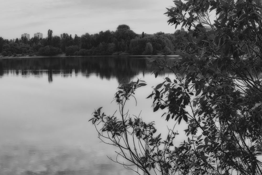 Photograph by Александр Падажецкий