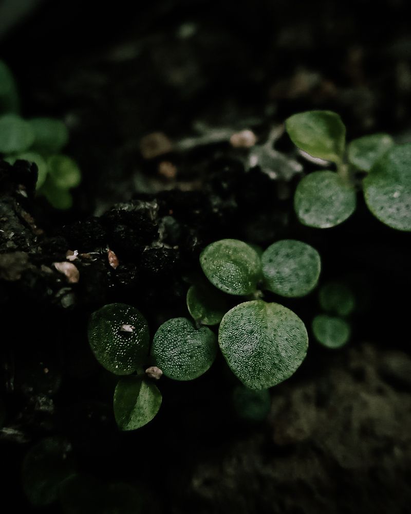 Photo #7696987
