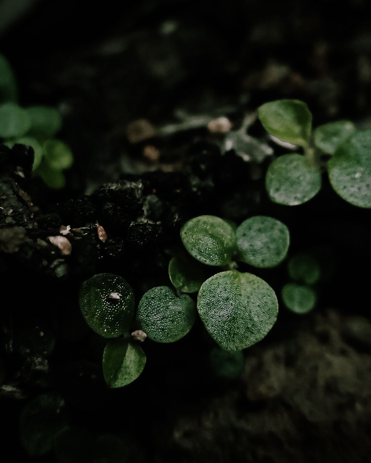 Photo #7696987