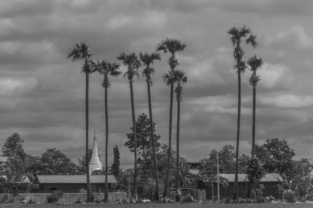 Photograph by Kyaw Ye Mann