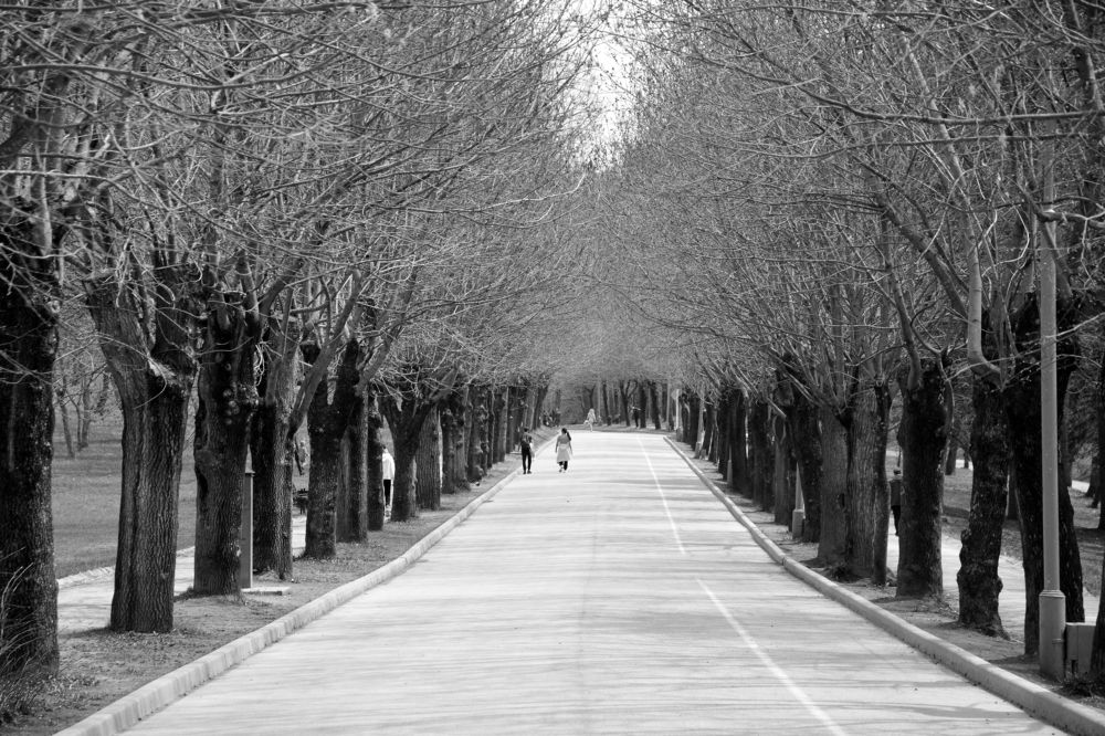 Photograph by Сергей Кривоносов