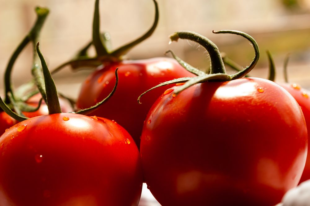 Photograph by Eliezer Santos