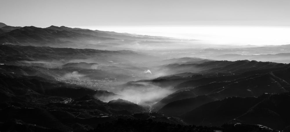 Photograph by Gary Browne