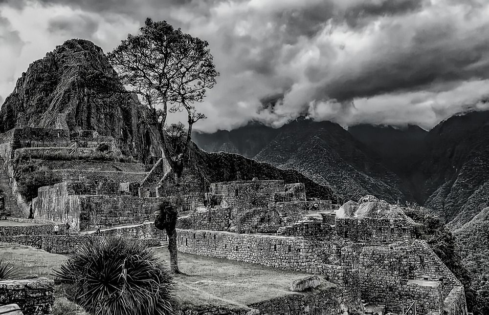 Photograph by Mauro Arlegui