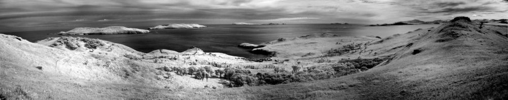 Photograph by Ксения Далишнева