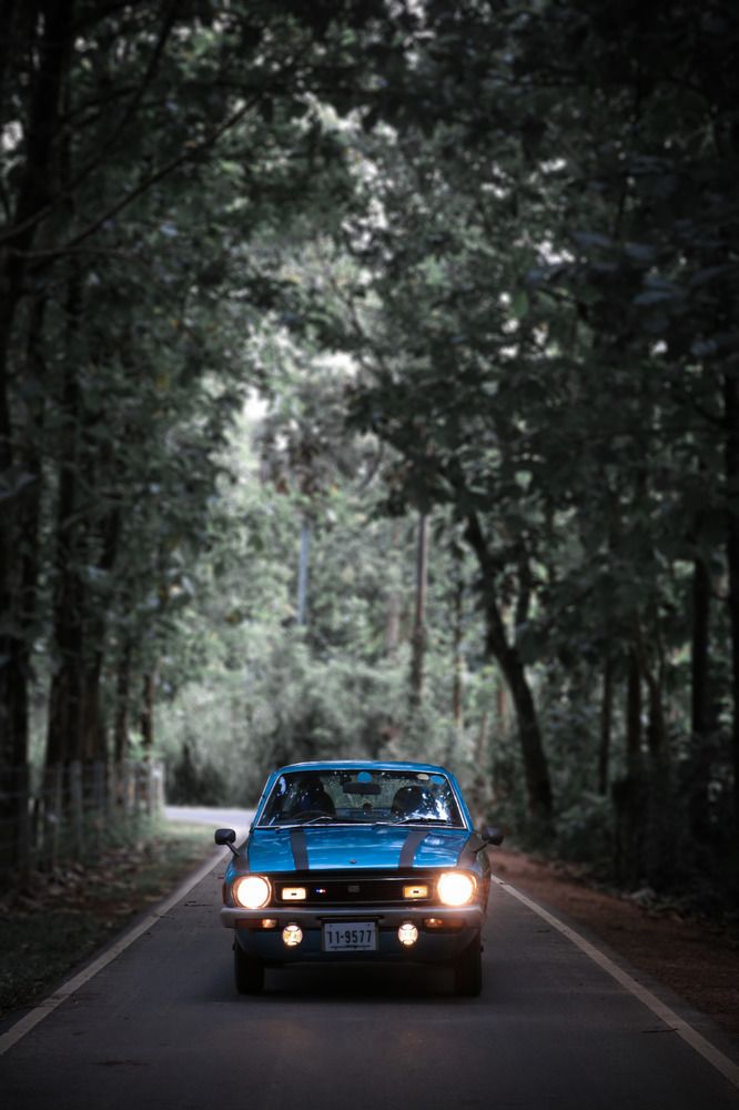 Photograph by DINETH NAMBUKARAWASAM MAHASARANGU HEWAGE