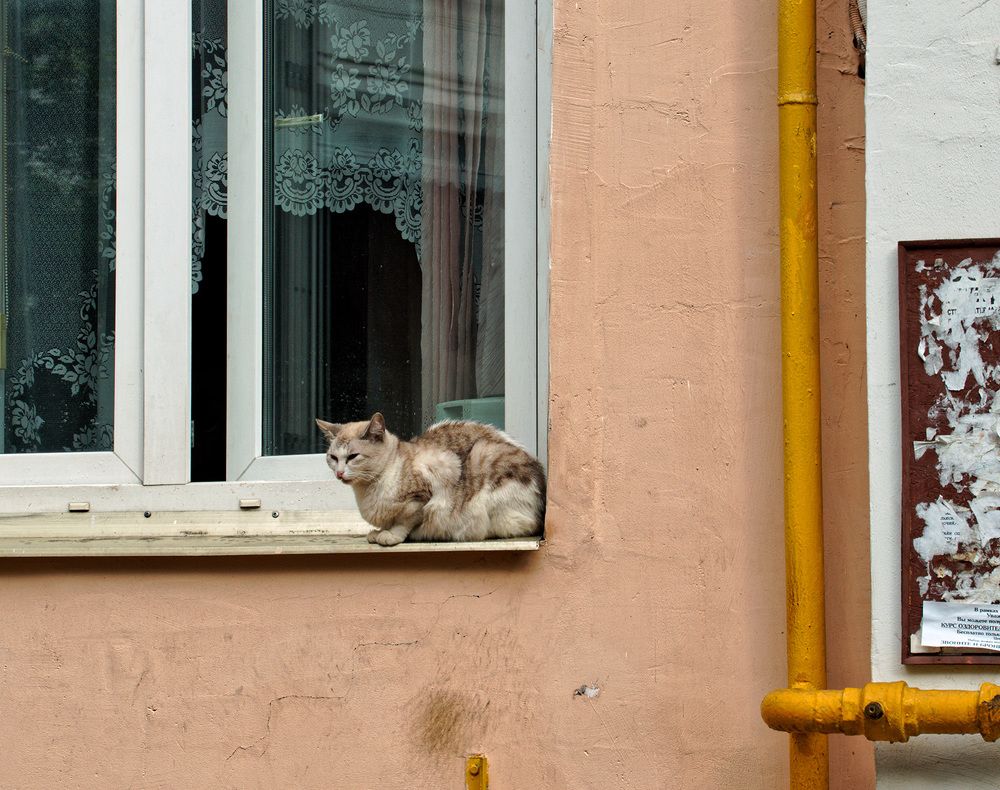 Photograph by Павел Кулинич
