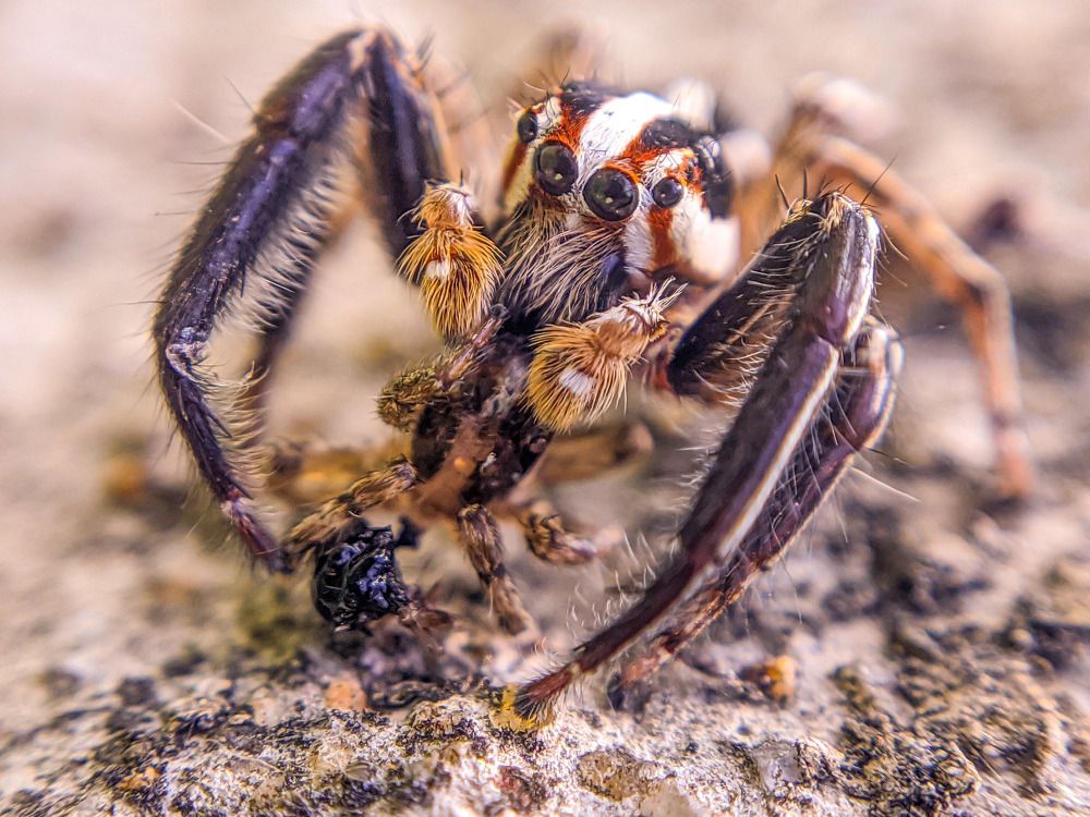 Photograph by Jharna Manna