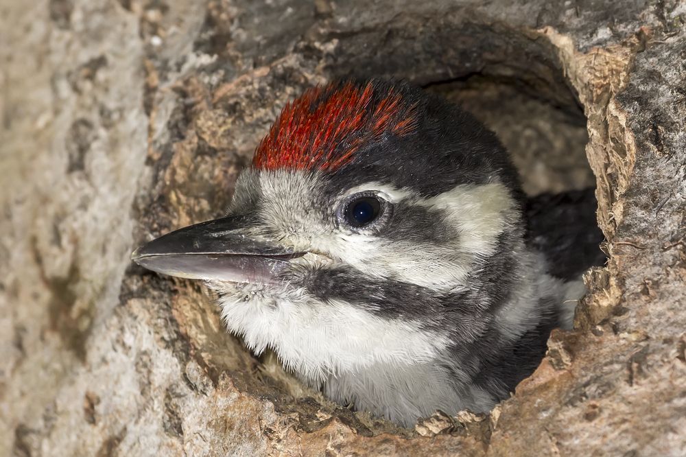 Здравствуй, Мир!
