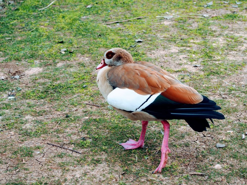 Photograph by Jacob Greenberg