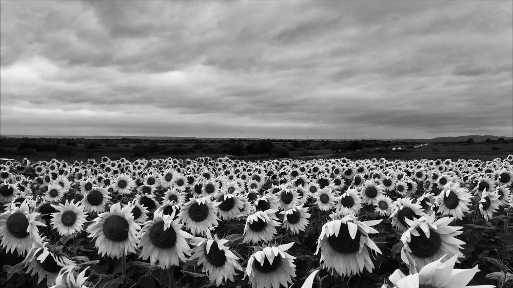 Фотография автора Виктория Калганова