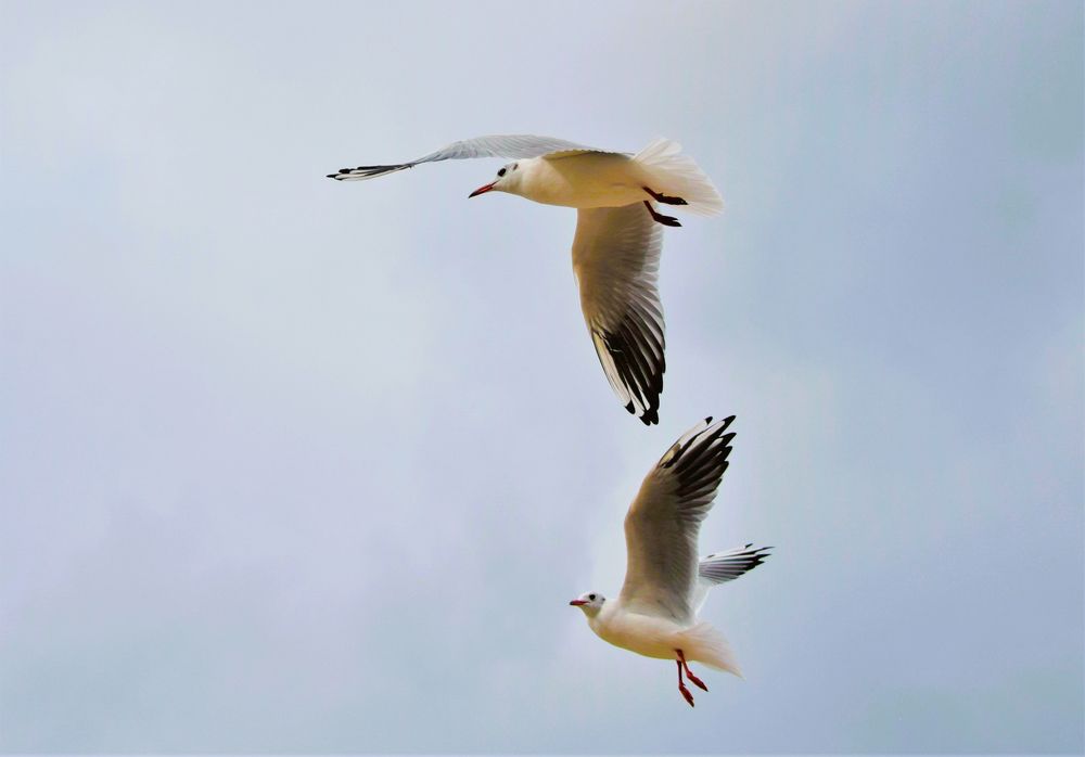 Фотография автора Альбина Хвастунова