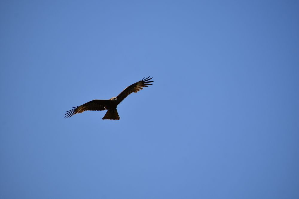 Photograph by Александр Прядко