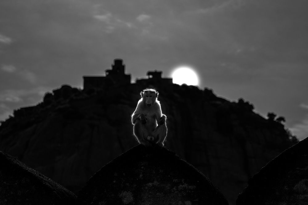 Photograph by Karthikeyan Balakrishnan