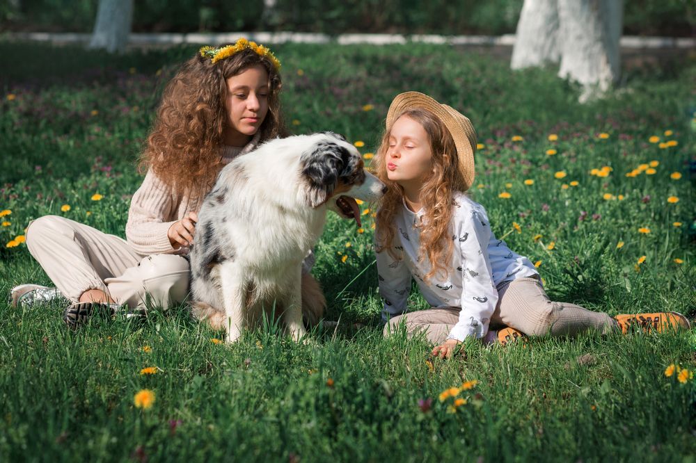 Photograph by Елена Богданова