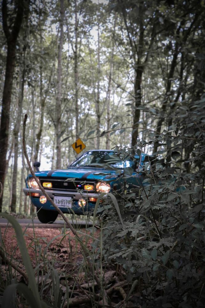 Photograph by DINETH NAMBUKARAWASAM MAHASARANGU HEWAGE