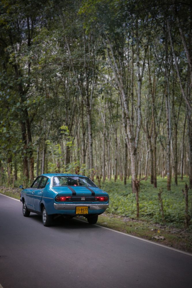Photograph by DINETH NAMBUKARAWASAM MAHASARANGU HEWAGE