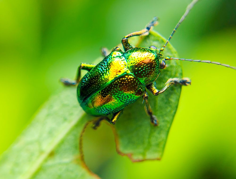 Photograph by Dinuka Sachintha