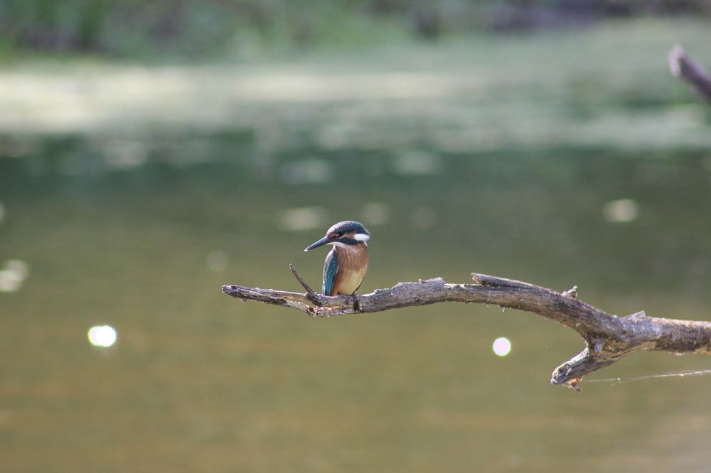 Photograph by Наталья Селиванова