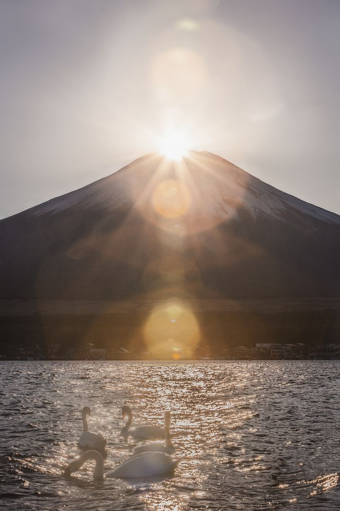 Photograph by PHUC BUI