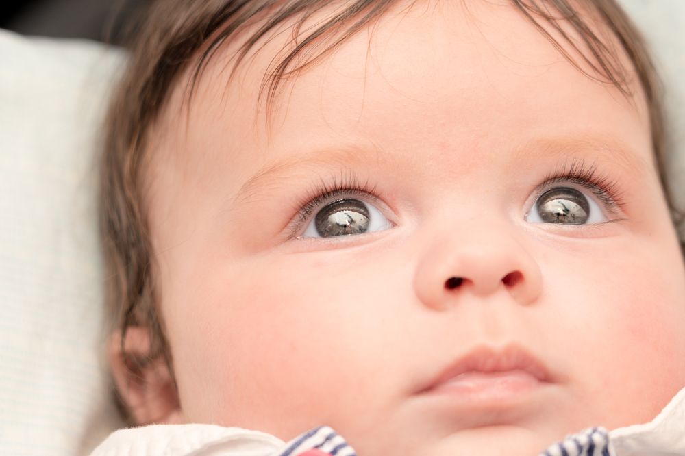 Photograph by Johan Etheve